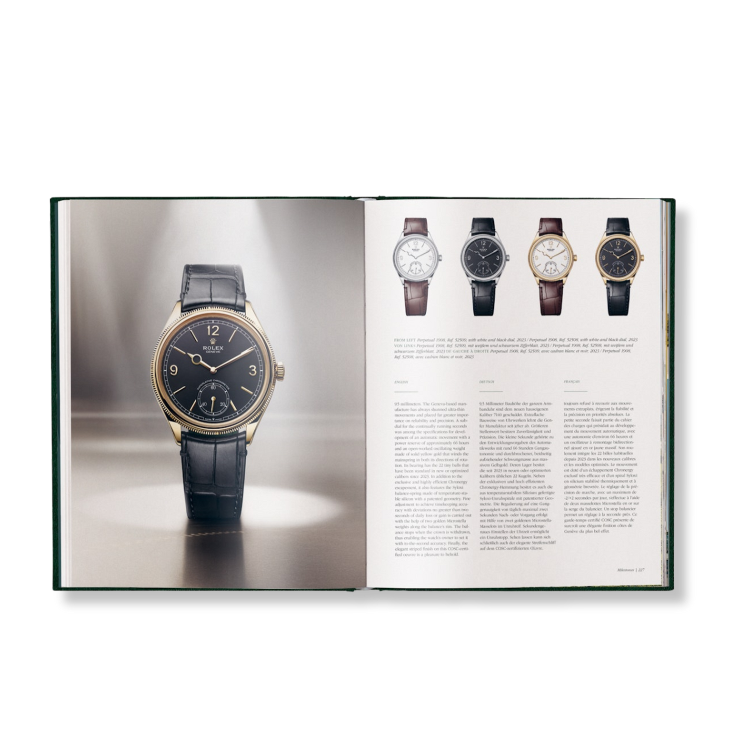 The Watch Book Rolex